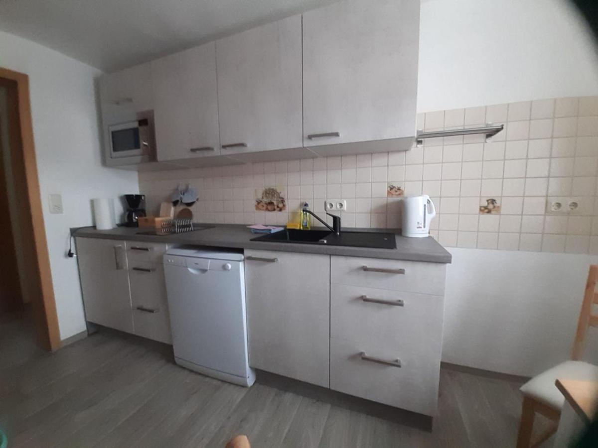 Neu! Ferienwohnung Hanka Crostwitz Bagian luar foto